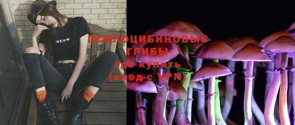 СК Михайлов