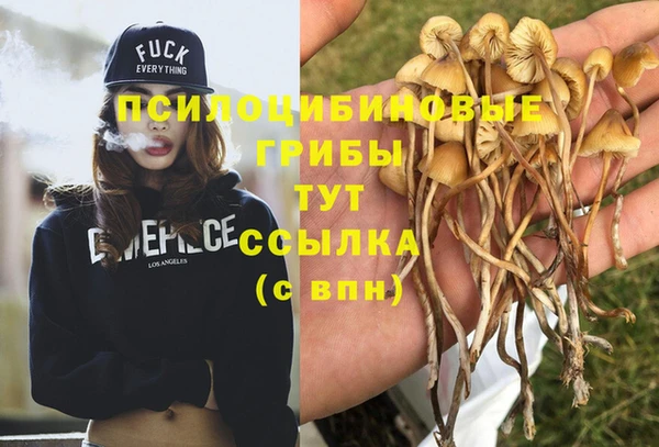 СК Михайлов
