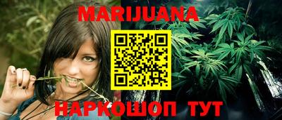 сатива Гай