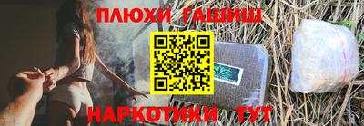 сатива Гай