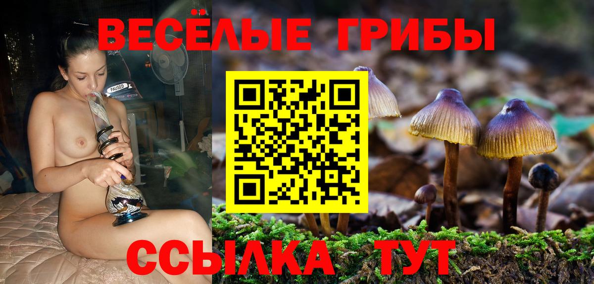 Заречный  Псилоцибиновые грибы GOLDEN TEACHER  Галлюциногенные грибы Magic Shrooms  Вход с VPN 